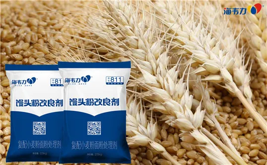 面粉厂罗茨风机的工作原理,双叶式罗茨风机