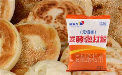 海韦力发酵泡打粉,葱花肉饼