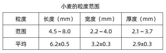 小麦子粒形状与大小的介绍,小麦的粒度范围