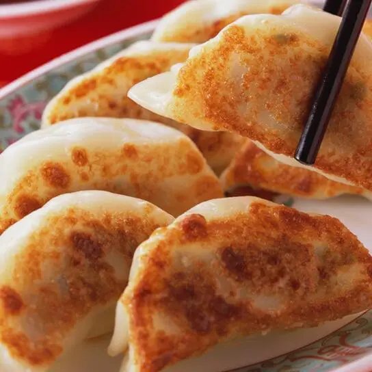 酸菜猪肉锅贴的做法步骤