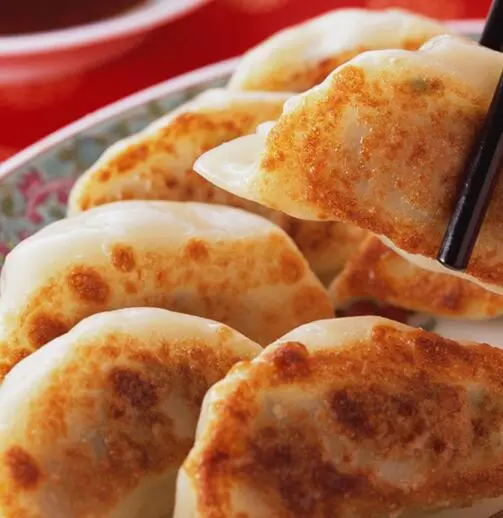 咖喱鸡肉煎饺的做法步骤