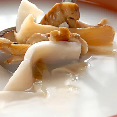 奶香面条