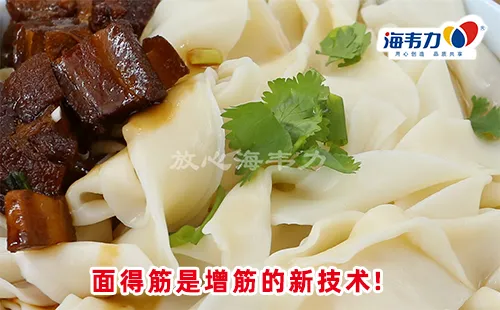 茄汁牛肉面(牛腱)