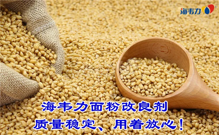 2019年12月2日今日小麦价格,2019年12月2日小麦报价,2019年12月2日小麦最新价格