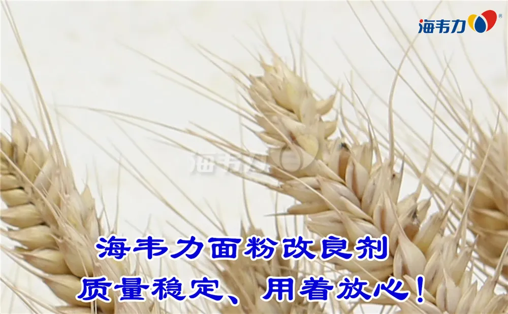 2019年12月13日小麦价格,2019年12月13日今日小麦价格,2019年12月13日小麦报价,2019年12月13日小麦最新价格