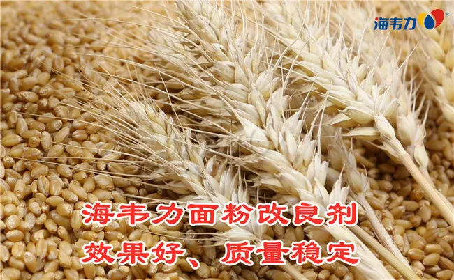 2019年12月18日面粉麸皮价格,2019年12月18日今日面粉麸皮价格,2019年12月18日面粉麸皮报价,2019年12月18日面粉麸皮最新价格