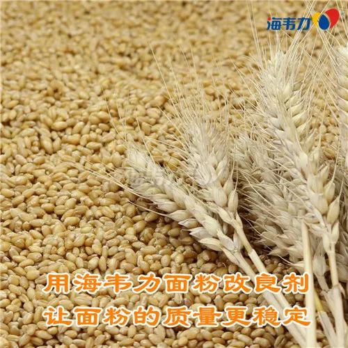 2019年12月30日小麦价格,2019年12月30日今日小麦价格,2019年12月30日小麦报价,2019年12月30日小麦最新价格