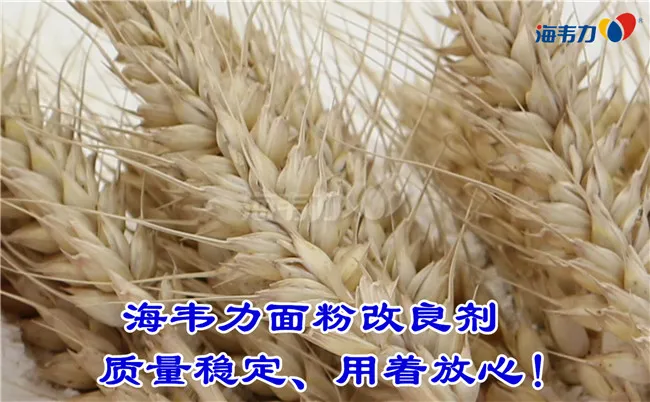 2020年01月03日小麦价格, 2020年01月03日今日小麦价格, 2020年01月03日小麦报价, 2020年01月03日小麦最新价格