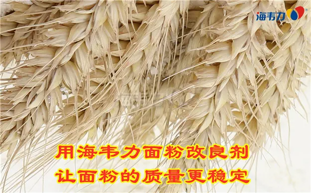 2020年01月08日小麦价格, 2020年01月08日今日小麦价格, 2020年01月08日小麦报价, 2020年01月08日小麦最新价格