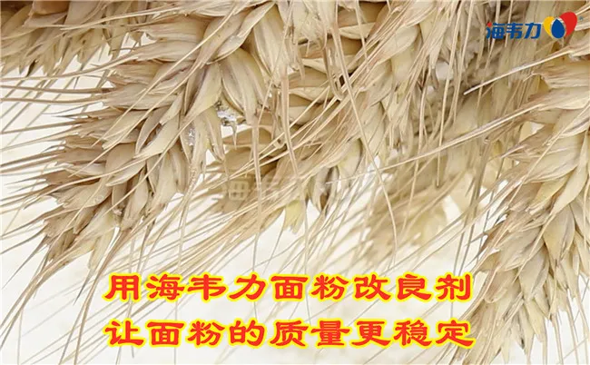 2020年01月13日面粉麸皮价格, 2020年01月13日今日面粉麸皮价格, 2020年01月13日面粉麸皮报价, 2020年01月13日面粉麸皮最新价格