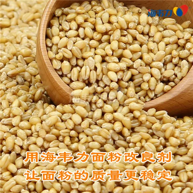2020年03月23日小麦价格, 2020年03月23日今日小麦价格, 2020年03月23日小麦报价, 2020年03月23日小麦最新价格