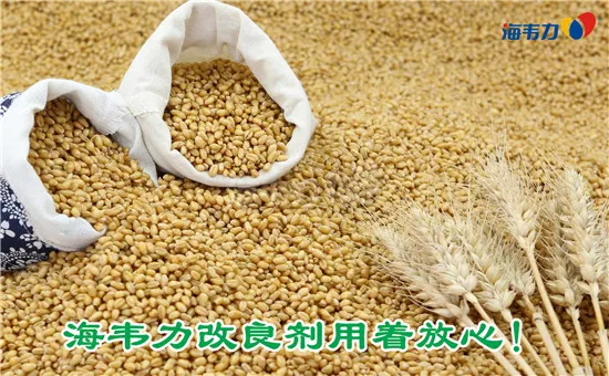 2020年04月8日小麦价格, 2020年04月8日今日小麦价格, 2020年04月8日小麦报价, 2020年04月8日小麦最新价格