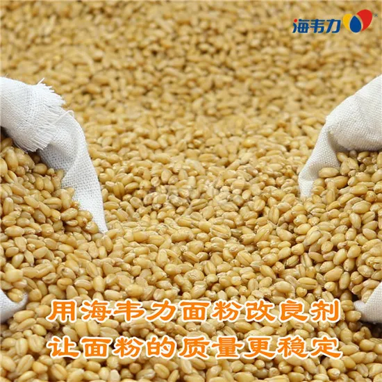 2020年05月20日小麦价格, 2020年05月20日今日小麦价格, 2020年05月20日小麦报价, 2020年05月20日小麦最新价格