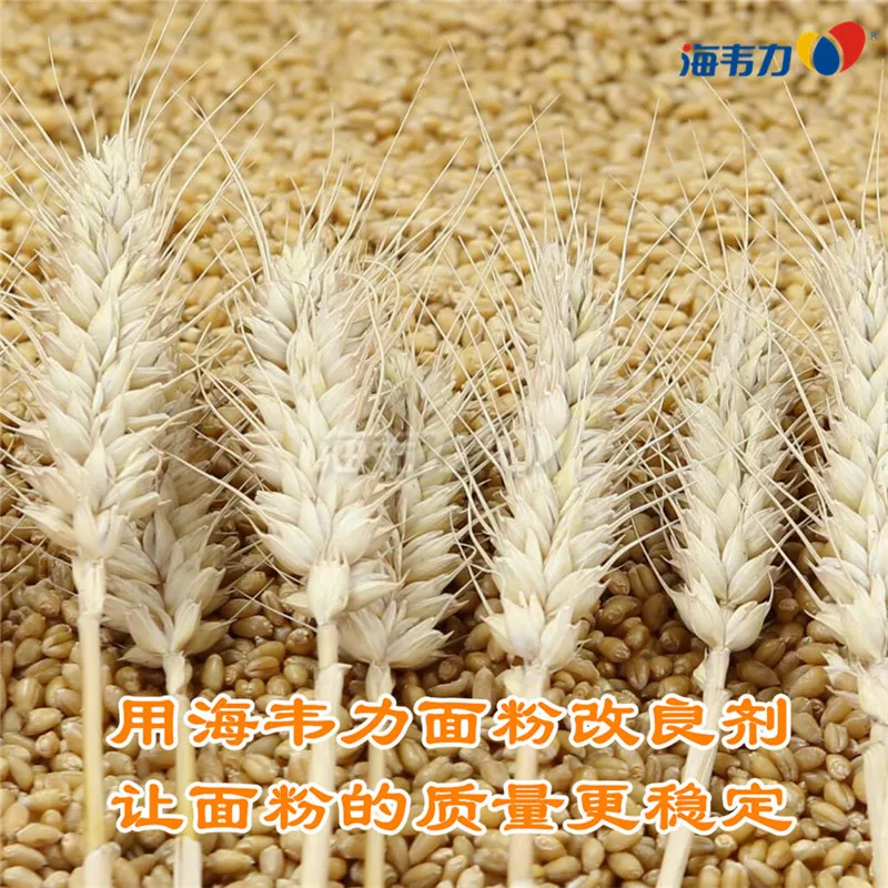 2020年06月05日小麦价格, 2020年06月05日今日小麦价格, 2020年06月05日小麦报价, 2020年06月05日小麦最新价格