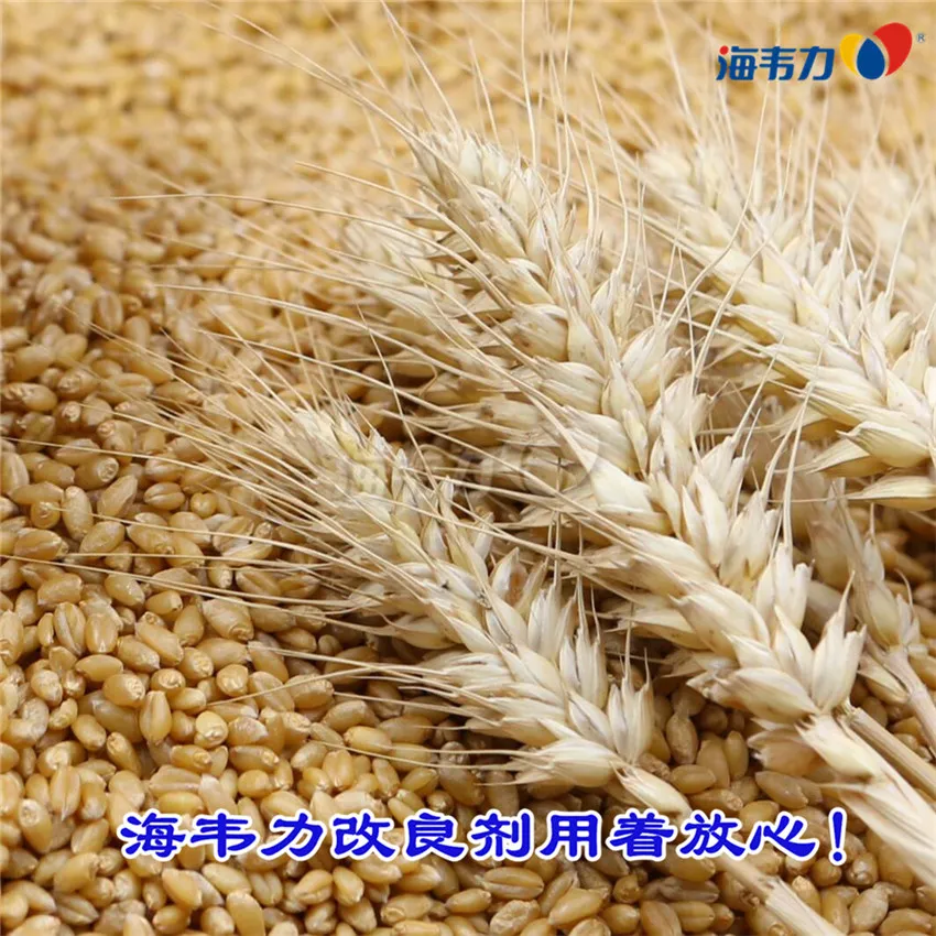 2020年07月01日小麦价格, 2020年07月01日今日小麦价格, 2020年07月01日小麦报价, 2020年07月01日小麦最新价格