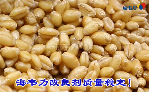 2020年07月20日小麦价格, 2020年07月20日今日小麦价格, 2020年07月20日小麦报价, 2020年07月20日小麦最新价格