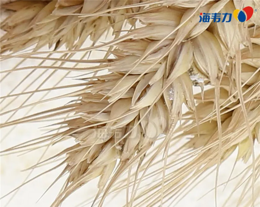 面粉的合适的降落数值