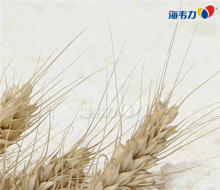 面粉企业应重视面条专用粉生产