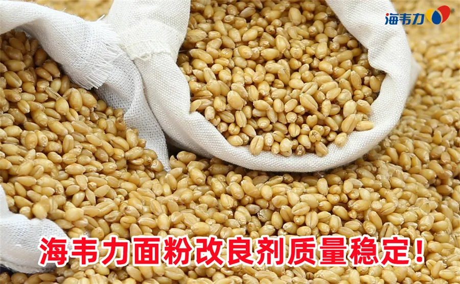 粉厂安全生产的有关规定