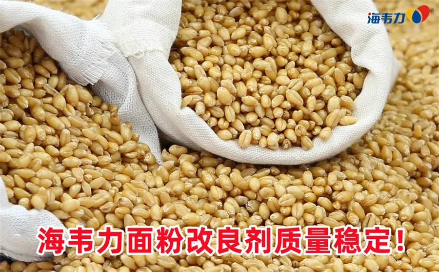 面粉厂安全隐患