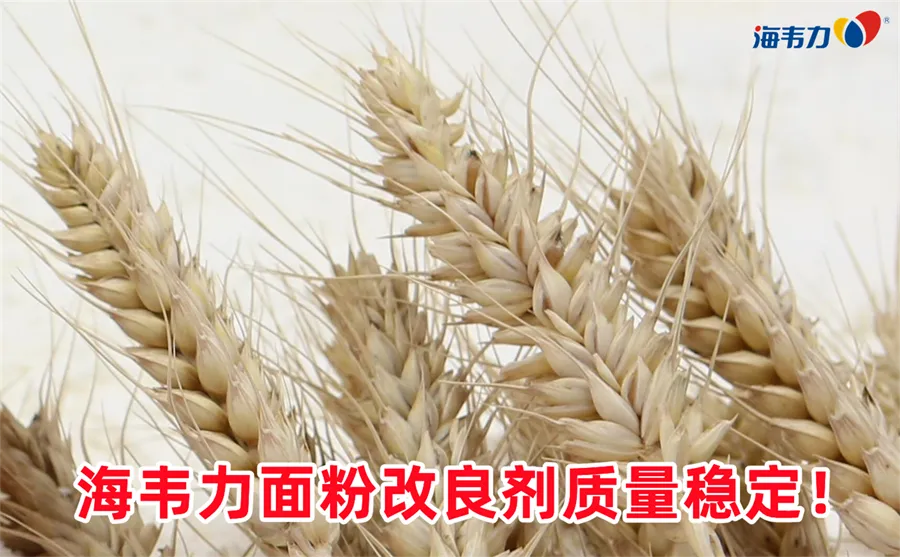 磨粉机作用