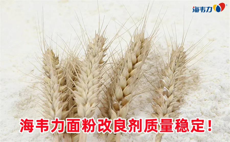 建议用的小麦脱皮机