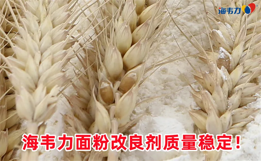 高方平筛运动有哪些特点