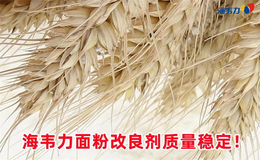 脉冲除尘器的类别,面粉厂脉冲除尘器的分类