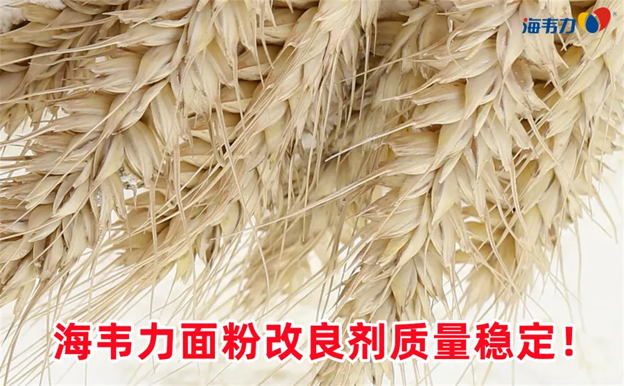 离心集尘器的工作流程