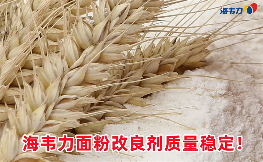 面粉厂小麦色泽、气味和口味的测定