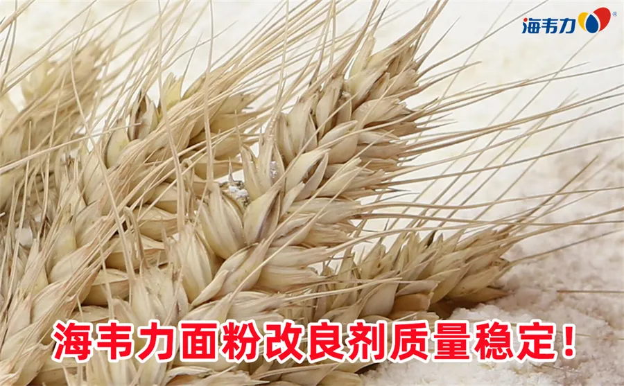 破损淀粉测定