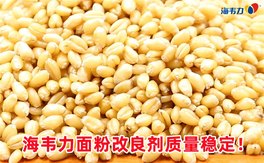 新小麦的特点,新小麦的特性