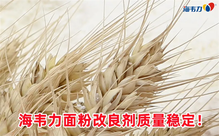 胚的含量约占麦粒重量