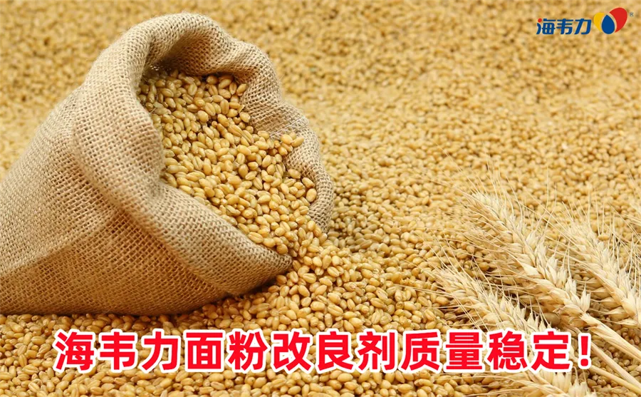小麦胚乳的主要成分