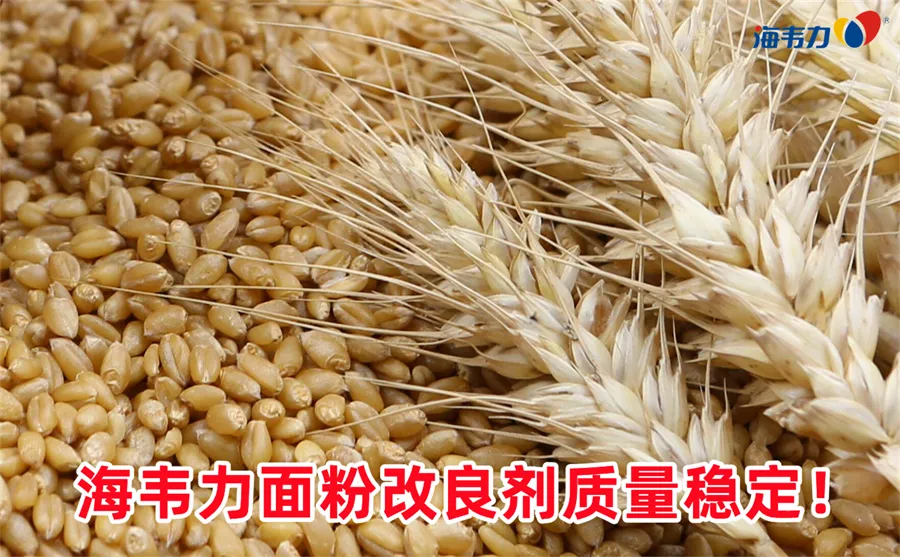 小麦面粉的蛋白质含量