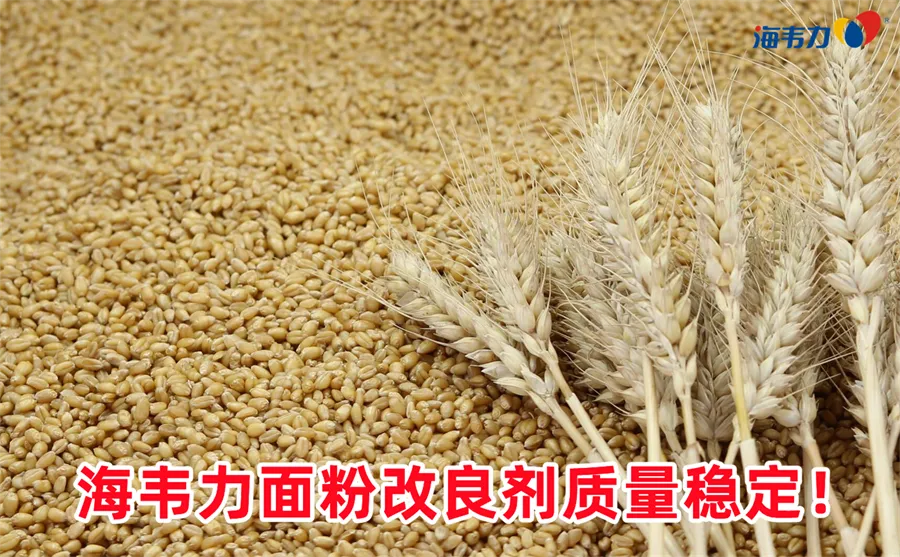 交联淀粉介绍,交联淀粉理论介绍