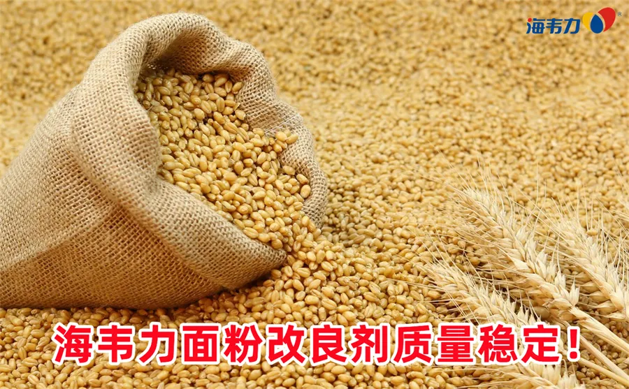 小麦胚中的脂肪含量介绍,小麦胚中的脂肪含量简单介绍