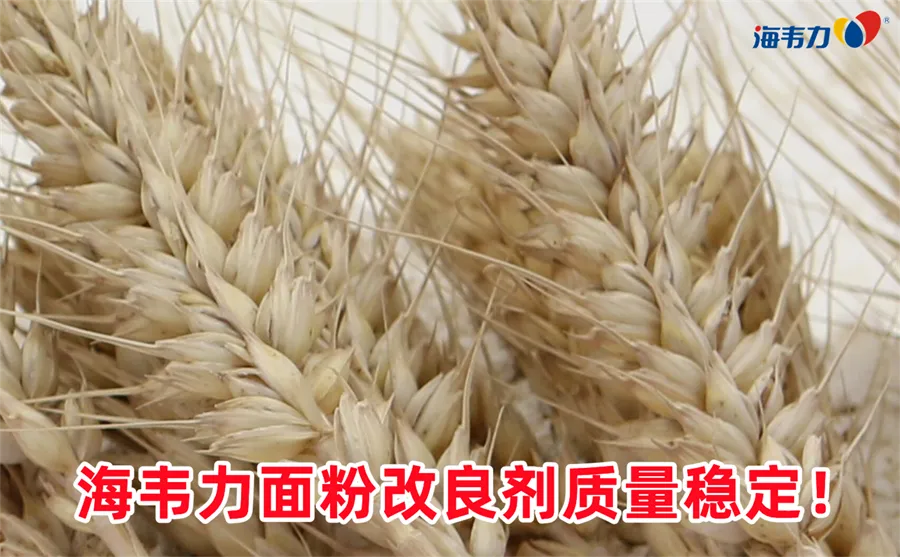 油炸制品加工