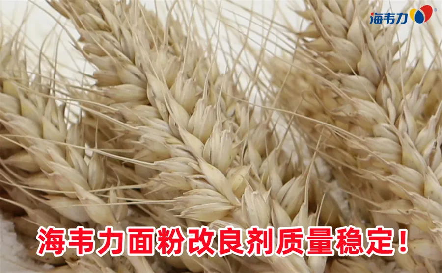 馒头粉改良剂,速冻包子的生产技术
