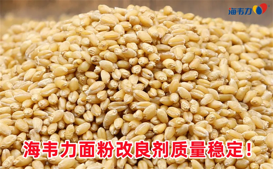 苏打饼干的色泽