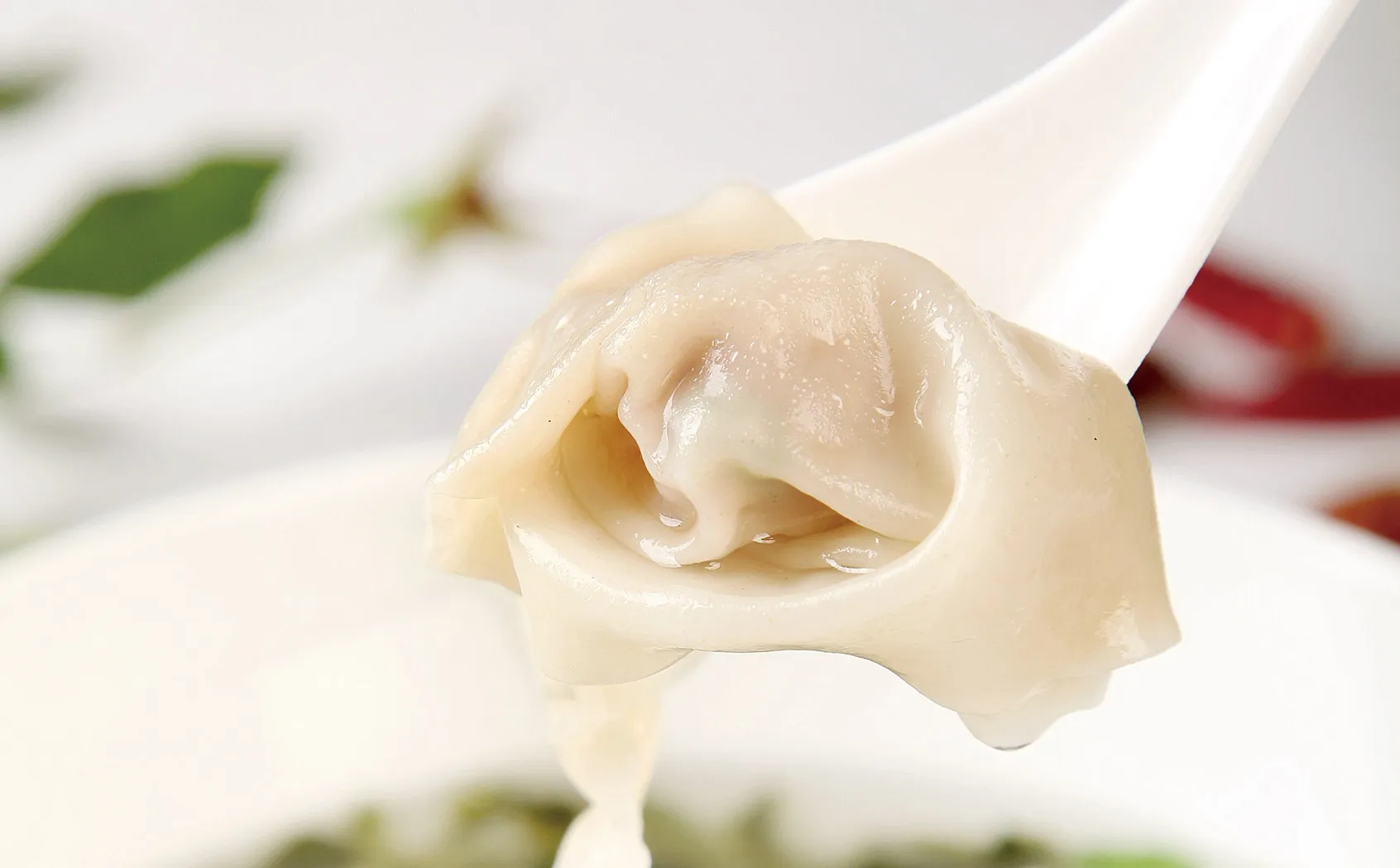 湖州大馄饨
