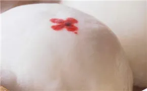 五香葱花卷的做法	