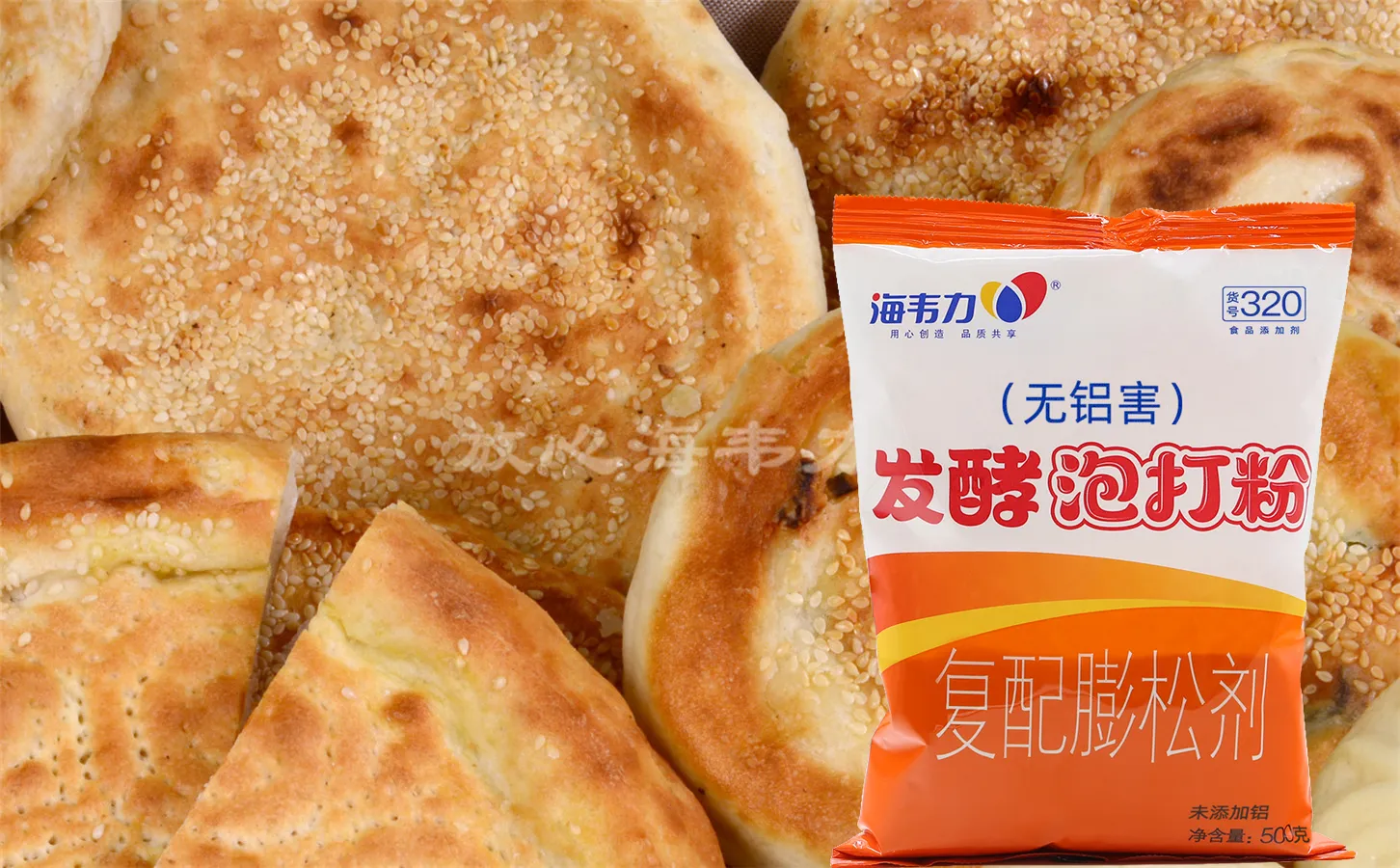 海韦力发酵泡打粉,葱花肉饼的做法步骤