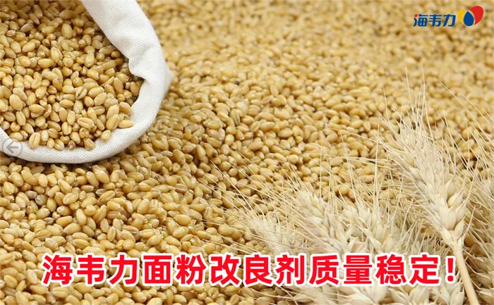 胚乳成分