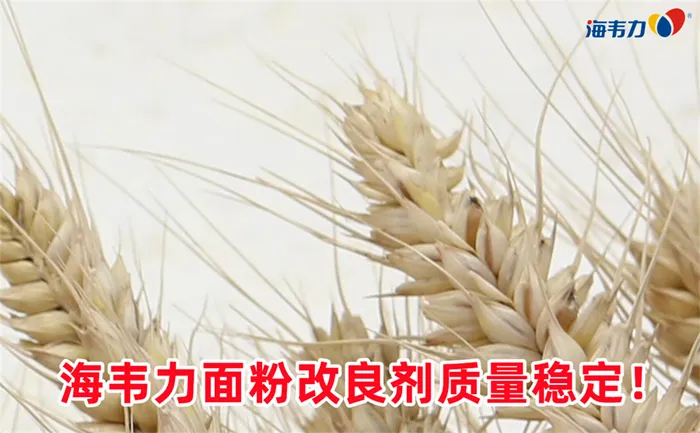 新旧小麦的鉴别方法