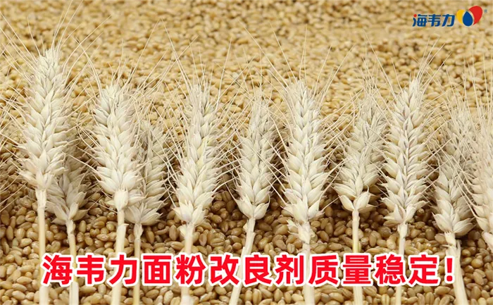 小麦初清筛的原理