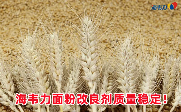 影响润麦效果的因素