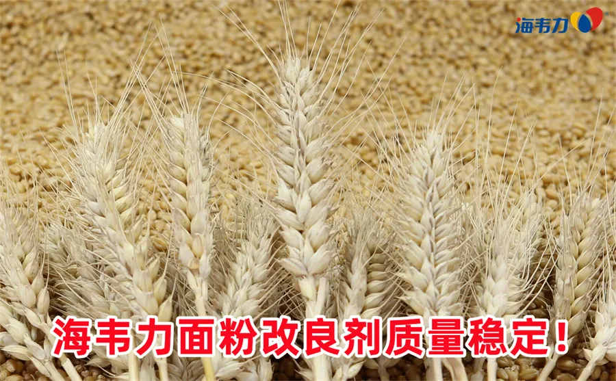 配粉的输送形式