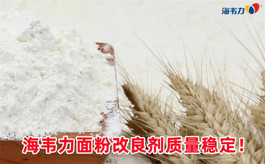 小麦皮层的结构