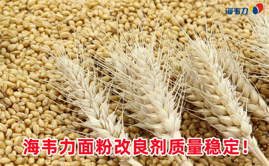 离心集尘器的说明